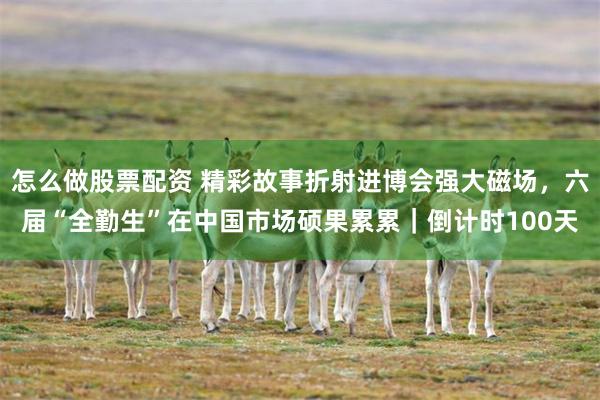 怎么做股票配资 精彩故事折射进博会强大磁场，六届“全勤生”在中国市场硕果累累｜倒计时100天