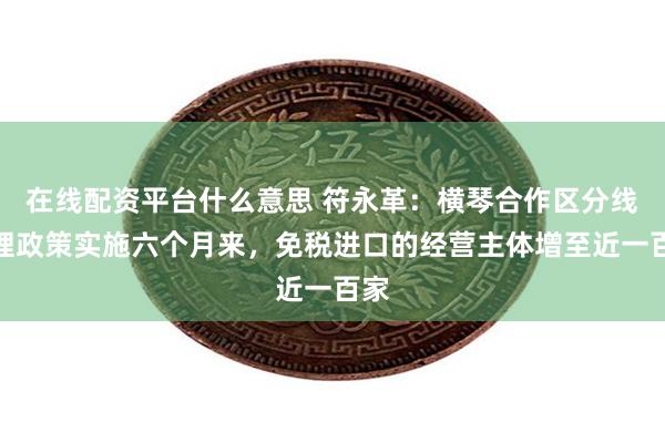 在线配资平台什么意思 符永革：横琴合作区分线管理政策实施六个月来，免税进口的经营主体增至近一百家