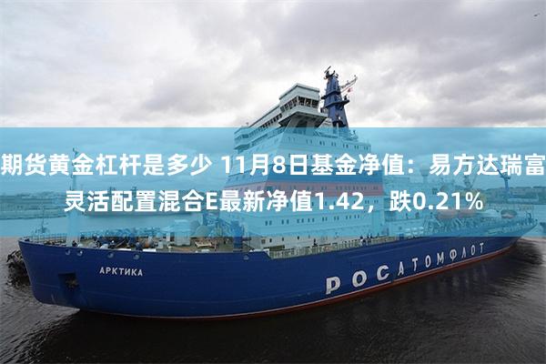 期货黄金杠杆是多少 11月8日基金净值：易方达瑞富灵活配置混合E最新净值1.42，跌0.21%