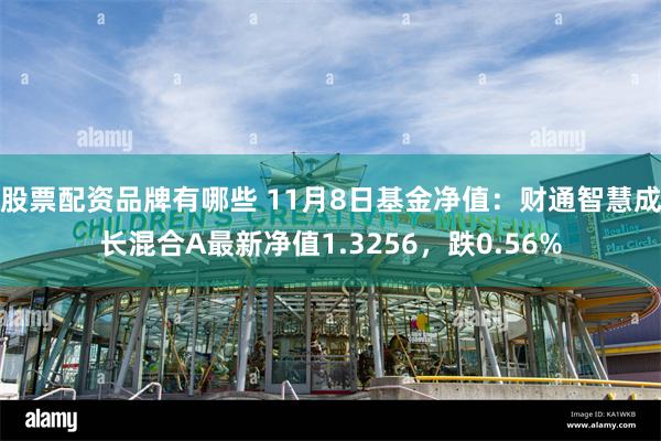 股票配资品牌有哪些 11月8日基金净值：财通智慧成长混合A最新净值1.3256，跌0.56%