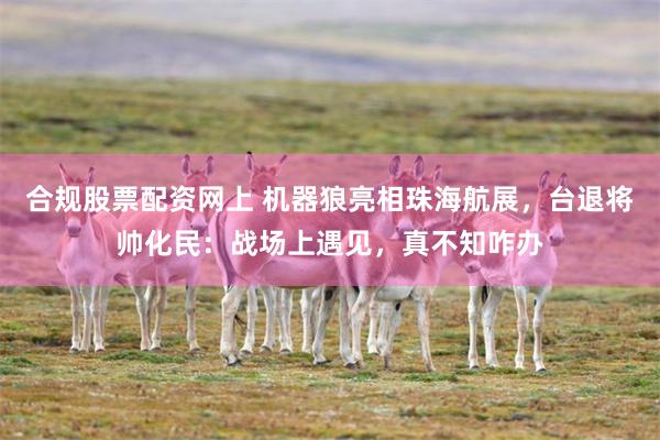 合规股票配资网上 机器狼亮相珠海航展，台退将帅化民：战场上遇见，真不知咋办