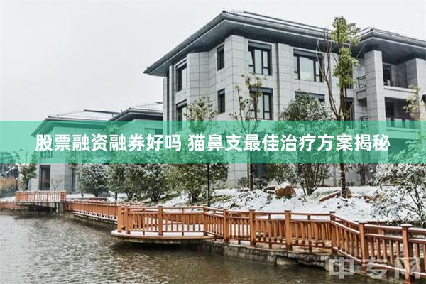 股票融资融券好吗 猫鼻支最佳治疗方案揭秘
