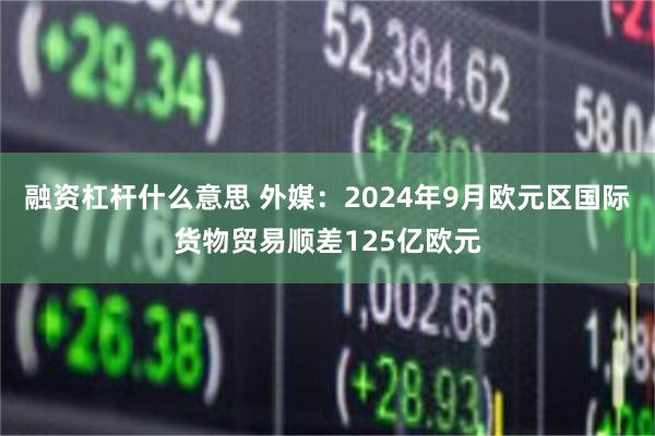 融资杠杆什么意思 外媒：2024年9月欧元区国际货物贸易顺差125亿欧元