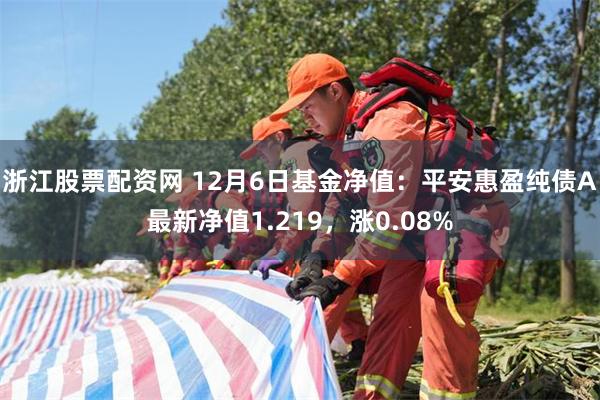浙江股票配资网 12月6日基金净值：平安惠盈纯债A最新净值1.219，涨0.08%