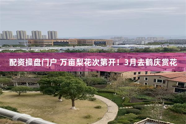 配资操盘门户 万亩梨花次第开！3月去鹤庆赏花
