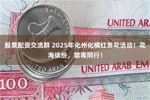 股票配资交流群 2025年化州化橘红赏花活动！花海缤纷，禁毒同行！