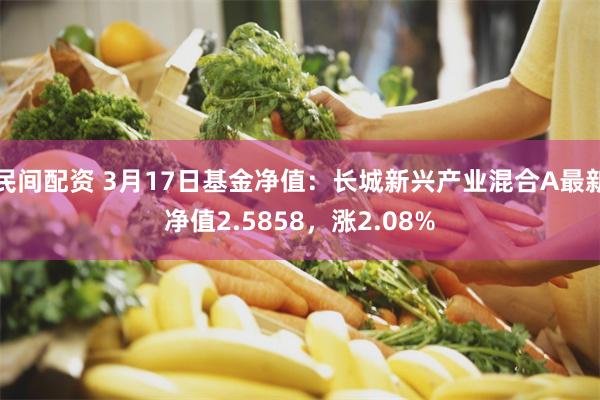 民间配资 3月17日基金净值：长城新兴产业混合A最新净值2.5858，涨2.08%