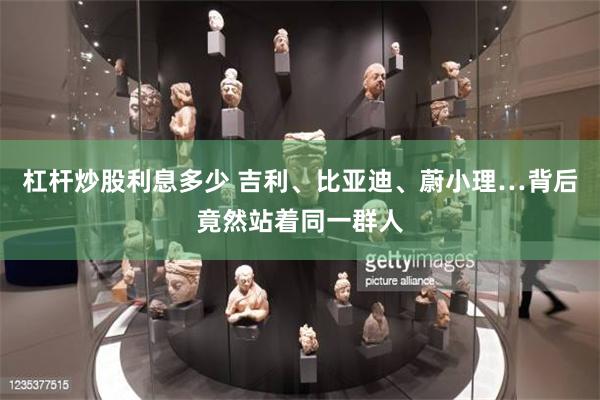 杠杆炒股利息多少 吉利、比亚迪、蔚小理…背后竟然站着同一群人