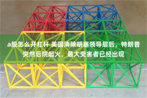 a股怎么开杠杆 美国清除胡塞领导层后，特朗普突然后院起火，最大受害者已经出现