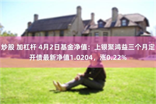 炒股 加杠杆 4月2日基金净值：上银聚鸿益三个月定开债最新净值1.0204，涨0.22%