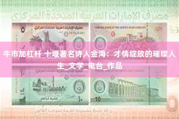 牛市加杠杆 十堰著名诗人金海：才情绽放的璀璨人生_文学_电台_作品