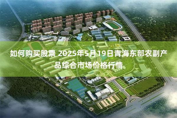 如何购买股票 2025年5月19日青海东部农副产品综合市场价格行情