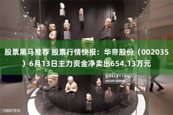 股票黑马推荐 股票行情快报：华帝股份（002035）6月13日主力资金净卖出65