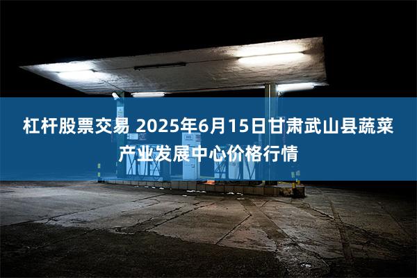 杠杆股票交易 2025年6月15日甘肃武山县蔬菜产业发展中心价格行情