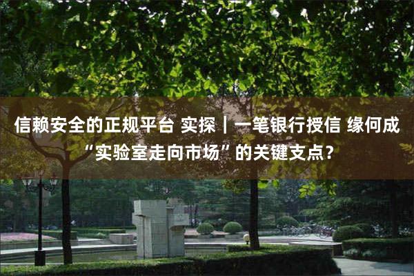 信赖安全的正规平台 实探｜一笔银行授信 缘何成“实验室走向市场”的关键支点？