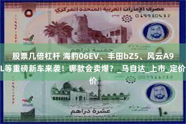 股票几倍杠杆 海豹06EV、丰田bZ5、风云A9L等重磅新车来袭！哪款会卖爆？_
