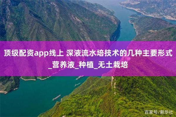 顶级配资app线上 深液流水培技术的几种主要形式_营养液_种植_无土栽培