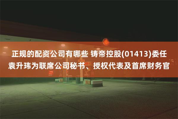 正规的配资公司有哪些 铸帝控股(01413)委任袁升玮为联席公司秘书、授权代表及