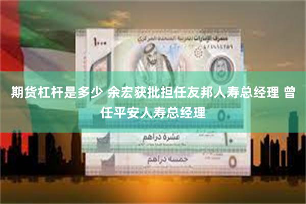 期货杠杆是多少 余宏获批担任友邦人寿总经理 曾任平安人寿总经理
