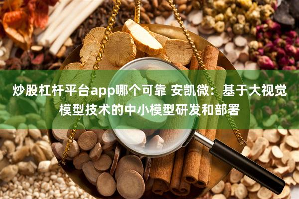 炒股杠杆平台app哪个可靠 安凯微：基于大视觉模型技术的中小模型研发和部署