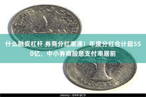 什么融资杠杆 券商分红潮涌！年度分红合计超550亿，中小券商股息支付率居前