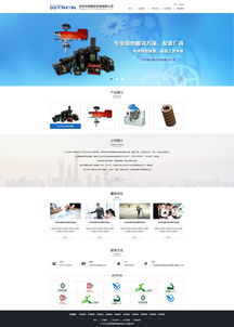 鋅碩精密網(wǎng)站效果圖 深圳專(zhuān)業(yè)網(wǎng)絡(luò)公司，助力企業(yè)高效建站